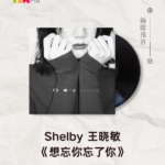 【新歌推荐】Shelby 王晓敏 / 想忘你忘了你