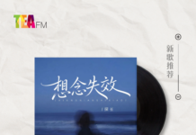 【新歌推荐】探长 / 想念失效